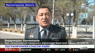 На Каспии пограничники береговой охраны спасли 40 рыб осетровых