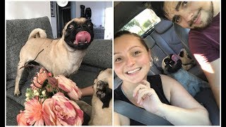SIMON E KISHA!! Vlog 16 Ottobre 2017 || Gemminamakeup