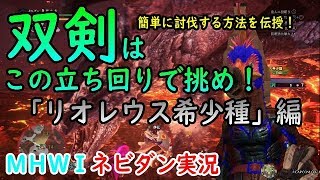 【PS4版MHWI】双剣はこの立ち回りで挑め！「リオレウス希少種」編【モンハンワールド アイスボーン ネビダン実況】
