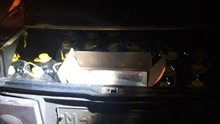 АЛКОГОЛЬ И ГРАНАТА