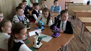 Открытый  урок  в 3 классе тема «Кожа»  21 школа  Барановичи  Манкевич Е.А.  Микульская О.А.