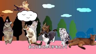 ちゃんねこ音頭 / 小猫家寿利&猫母麗羅withキャットウォーカーズ