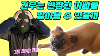 건우는 무장한아빠를 길거리에서 알아볼 수 있을까? (가족사기단, 정신없는 강아지)