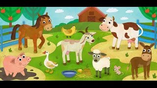 Животные для детей, Найди животных, развивающее видео