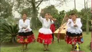 AGUILA KE VAS VOLANDO =  OSITAS DEL ARPA, HERMANAS CONTRERAS