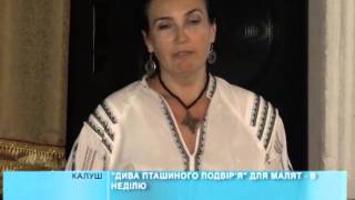 2014 08 29 Прем’єра казки - "Дива пташиного подвір'я"