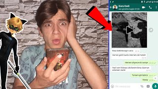 KARA KEDİ BANA VİDEO ATTI !! (Mucize Uğur Böceği Nerde)
