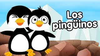 Los Pingüinos canciones infantiles