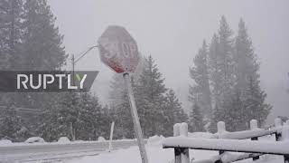 USA: Blizzard brings heavy snow and gusty winds in Northern California