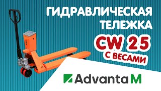 Тележка с весами