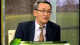 Nogoon hogjil shuud 2013.03.27