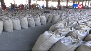 Rajkot: Revenue dept workers refuse to take part in groundnut purchasing, farmers worried