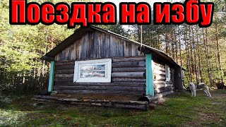 ПОЕЗДКА В ЛЕС НА ИЗБУ/ РЫБАЛКА /ОСЕНЬ 2019