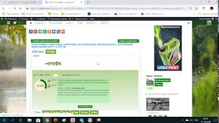 ПРОГНОЗ КЛЁВА РЫБЫ_(ВИДЕО ИНСТРУКЦИЯ)_