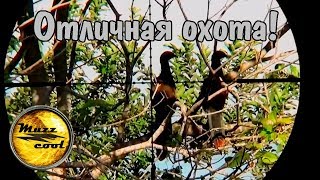 Отличная охота на пернатых!