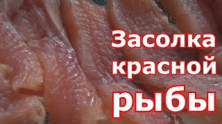 Засолка красной рыбы. Рецепт проверенный годами тающей во рту малосольной рыбы