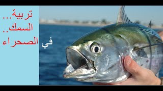 الإستزراع السمكي المكثف مشروع بسيط للمنازل