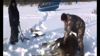 El mejor vídeo de humanidad y respeto a los animales