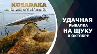 Удачная рыбалка на щуку в октябре. Kosadaka ZLN XS 90F. Отчет с рыбалки