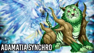 [YgoPro] Yu-Gi-Oh! Adamatia Synchro Deck Naturia Beast + Apollousa Turbo MR5 Master Rule 5