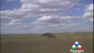 Дарьгангын Алтан Дарь Овооны - Хязаалангын уралдаан