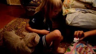 Макс и Катя играют с котом