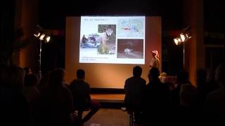 Campus Buch Science Slam 2014 | Ines Lesniak