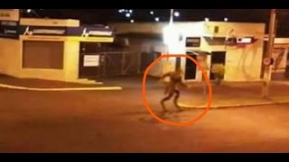 8 Реальных Оборотней снятых на камеру