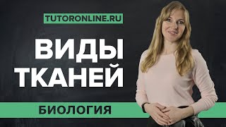 БиологияI Виды тканей: покровная, механическая, проводящая ткань...