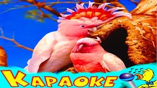 КАКАДУРЧИК! КАРАОКЕ для Детей! Лучшие Детские Песни! Припевочка #97