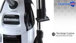Пылесос Electrolux ZSC, Кишинев, Молдова