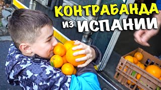 МУЖЧИНЫ О ЖЕНЩИНАХ ✔ Мужская закупка продуктов ✔ Влог  29.01.2020