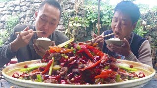 今天吃爆辣狗肉，2人一口接一口，完全不夠吃，太過癮了！ 【鐵鍋視頻】