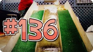 Приколы с животными №136   Утята и водяная горка  Смешные животные  Animal videos 1