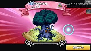 [どこパレ]50連神引きなるか！？