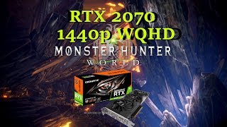 Monster Hunter World [PC] RTX 2070 1440p [32" WQHD]