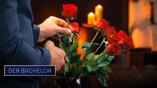 Die 3. "Nacht der Rosen" beim Bachelor | Der Bachelor - Folge 03