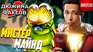 12 Фактов Мистер Майнд / Гусеница из сцены после титров фильма Шазам