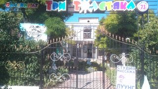 Все, что нужно знать о пансионате  "Три Толстяка"
