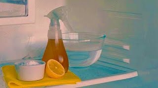 Как убрать запах из холодильника полезные советы для дома - способ 3