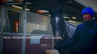 Gaelic Thoroughbreds | Racehorse Ownership