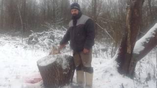 Забой гуся. Способ первый.