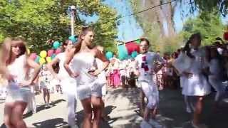 Dance Academy - Limba Noastra