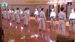 3 мл Б гр Архат До 9-11лет кумитэ-кихон каратэ 19 10 2013г