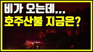 호주 산불 현황 - 비가 오는 호주 시드니와 멜번의 산불화재 현재 상황, 호주 산불 원인과 이유