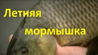 Диалоги о рыбалке - 217 - Летняя мормышка