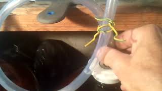 video 2018 07 14 19 47 40
