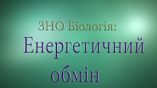 ЗНО Біологія  Енергетичний обмін