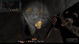 S.T.A.L.K.E.R.: Народная Солянка 2016. Клад Лысого в Пещере.
