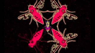 BotFly - Recording #2